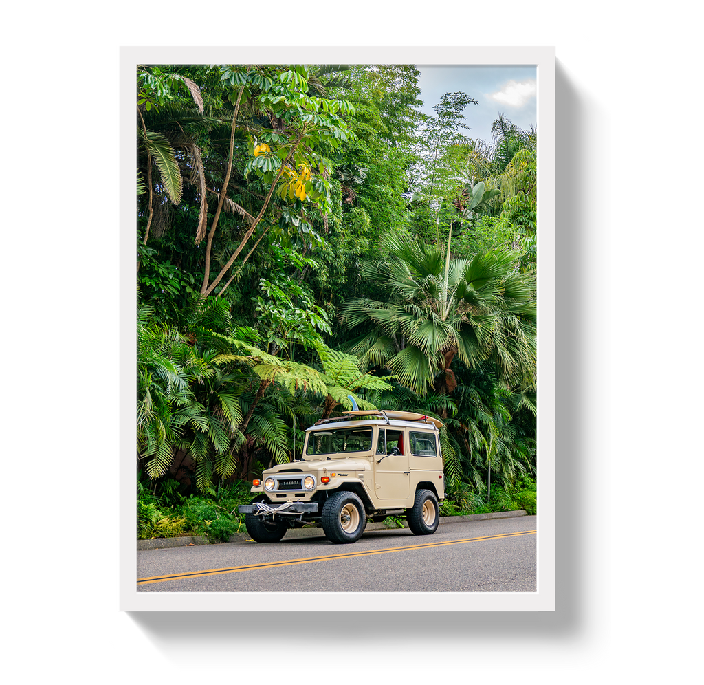 Tropical FJ 2