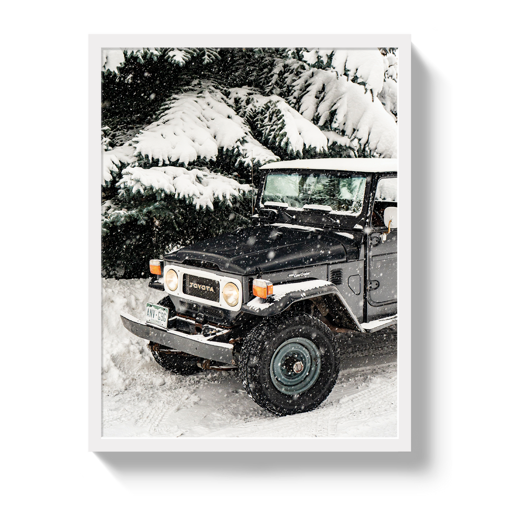Snowy FJ