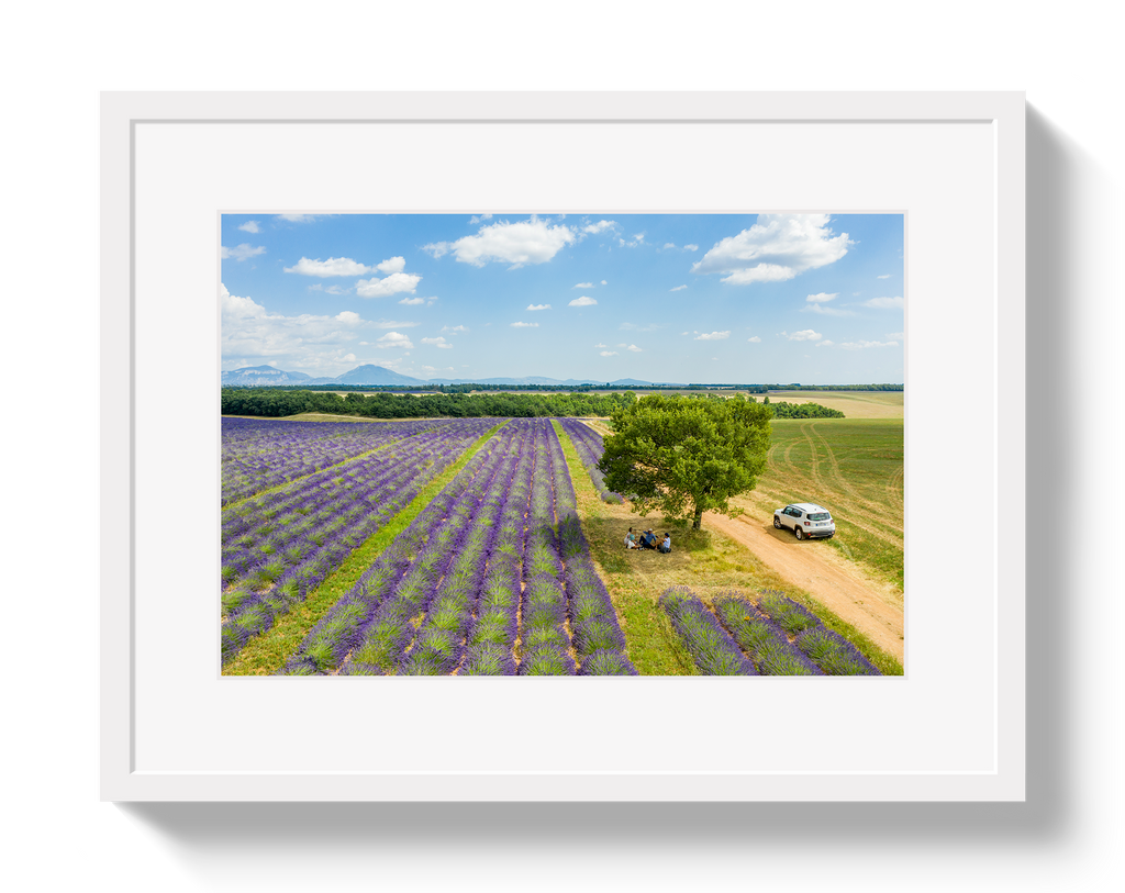 Provence Picnic