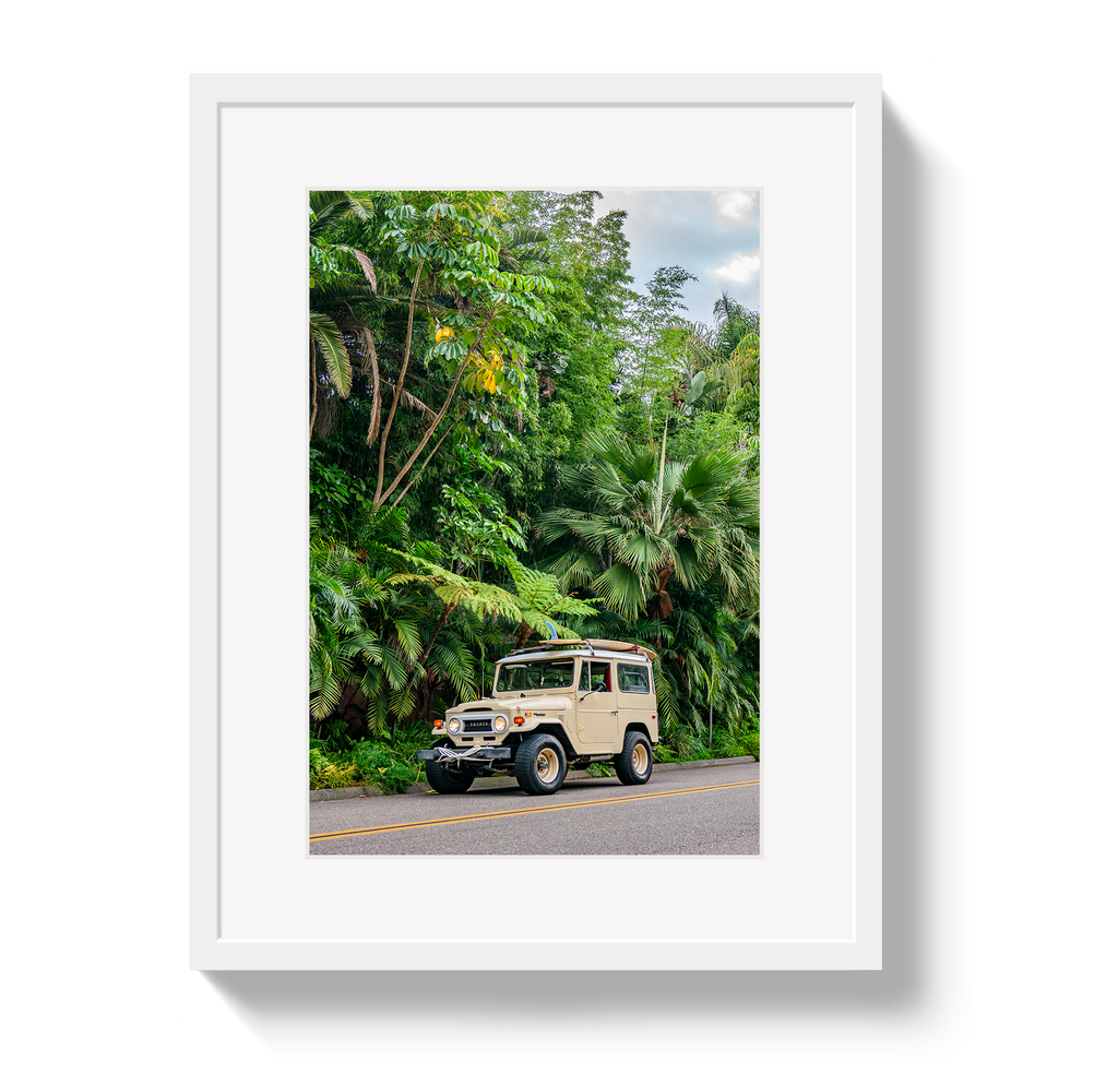 Tropical FJ 2