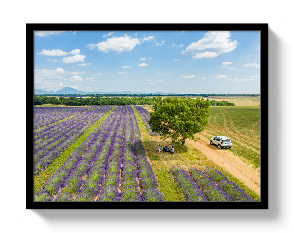 Provence Picnic