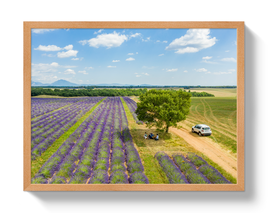 Provence Picnic