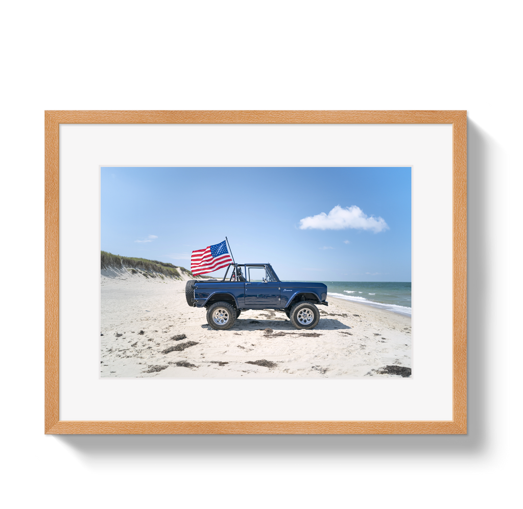 American Bronco