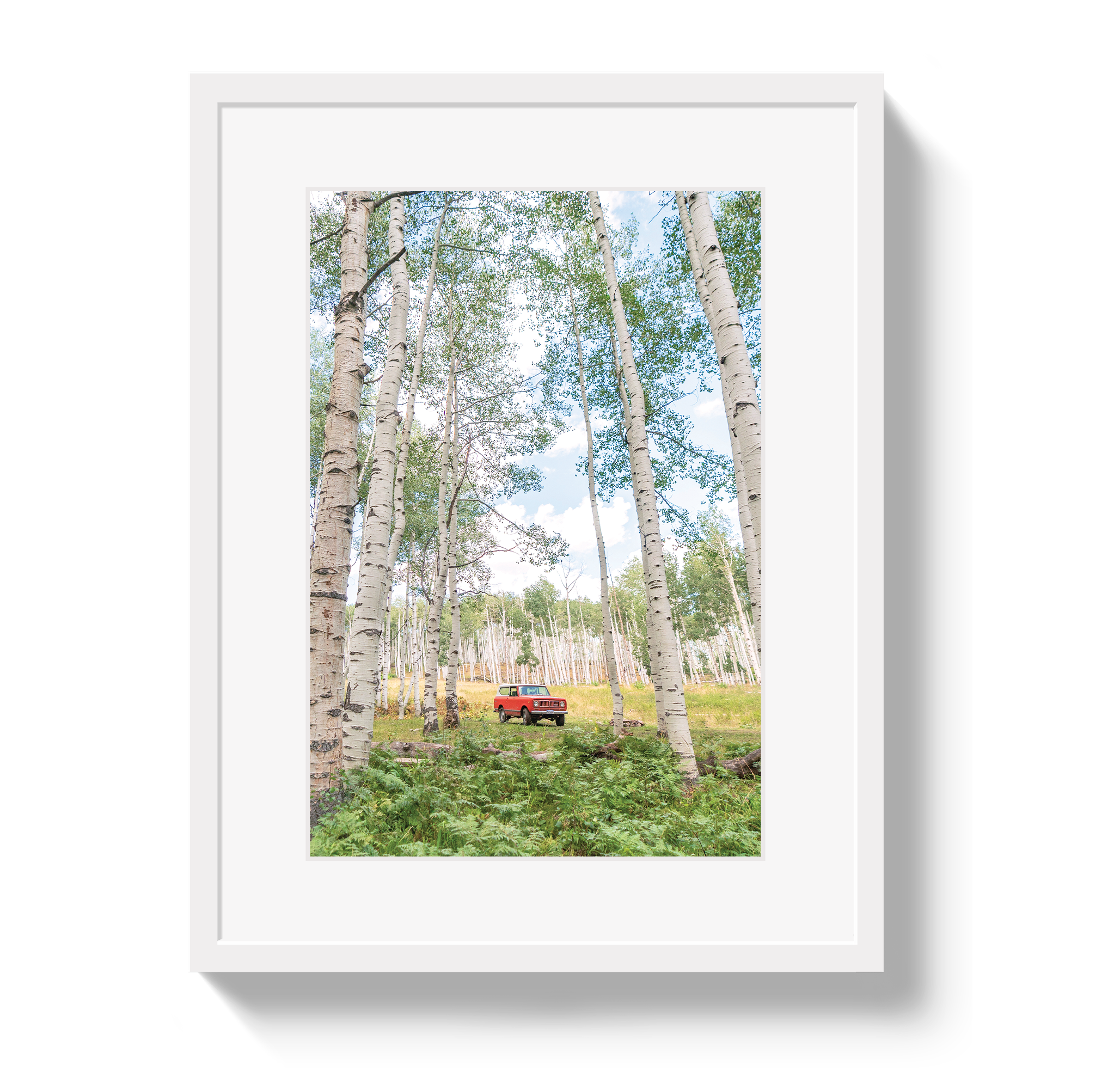 Aspen Scout