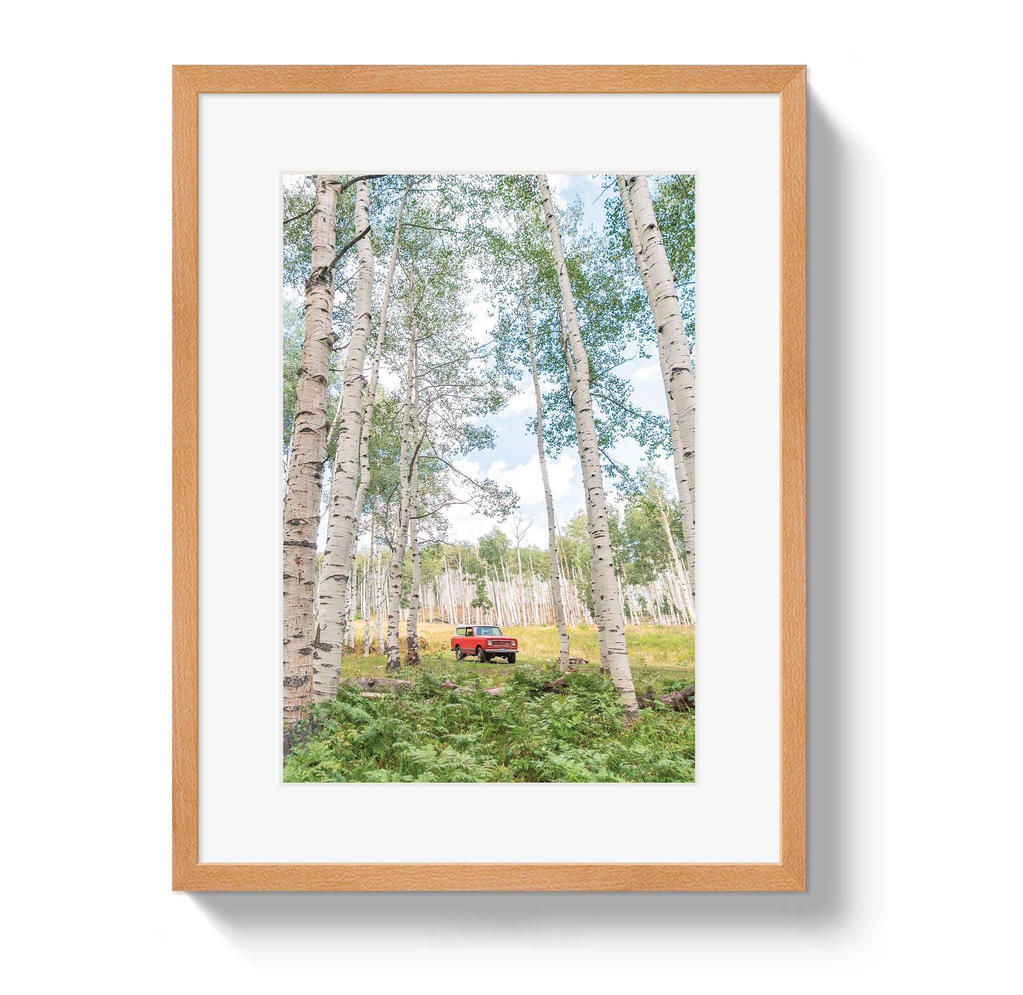 Aspen Scout