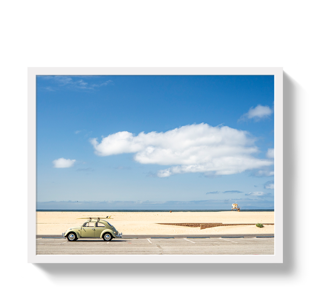 Beetle