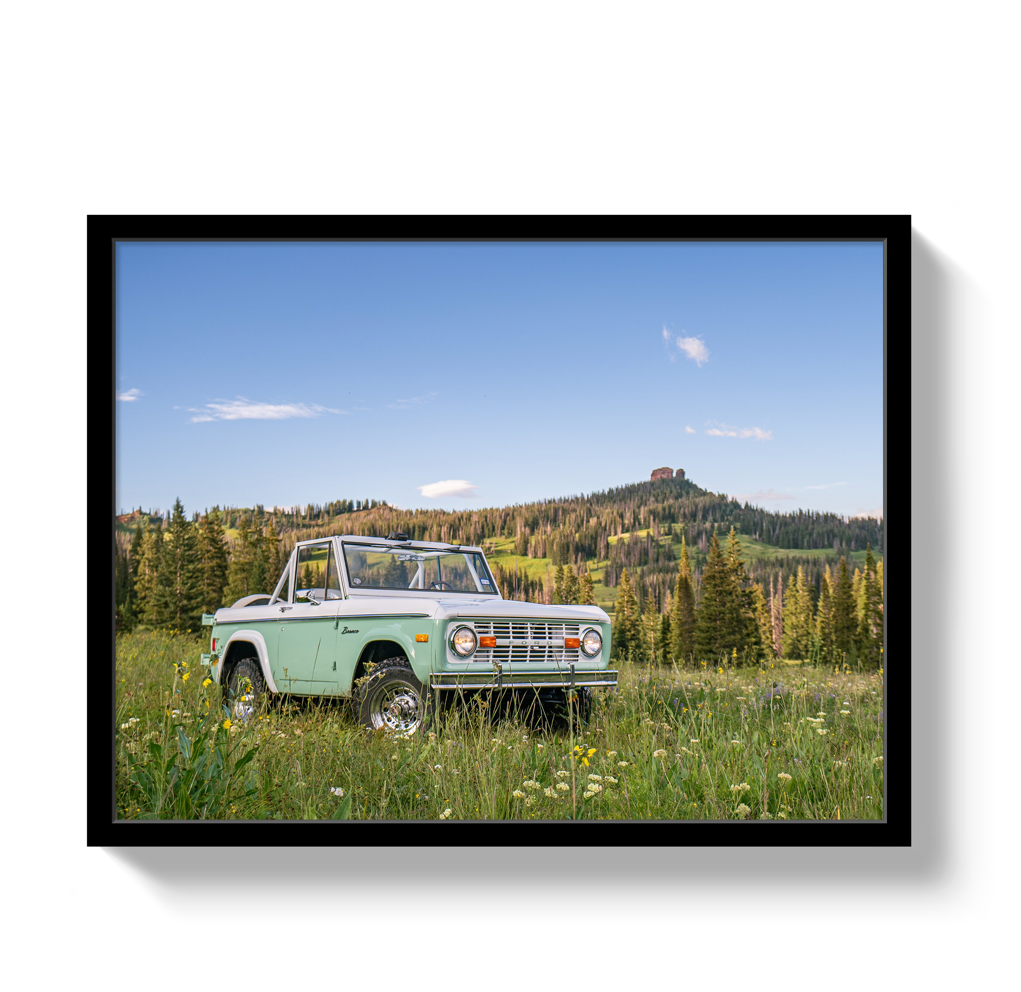 Bronco View 2