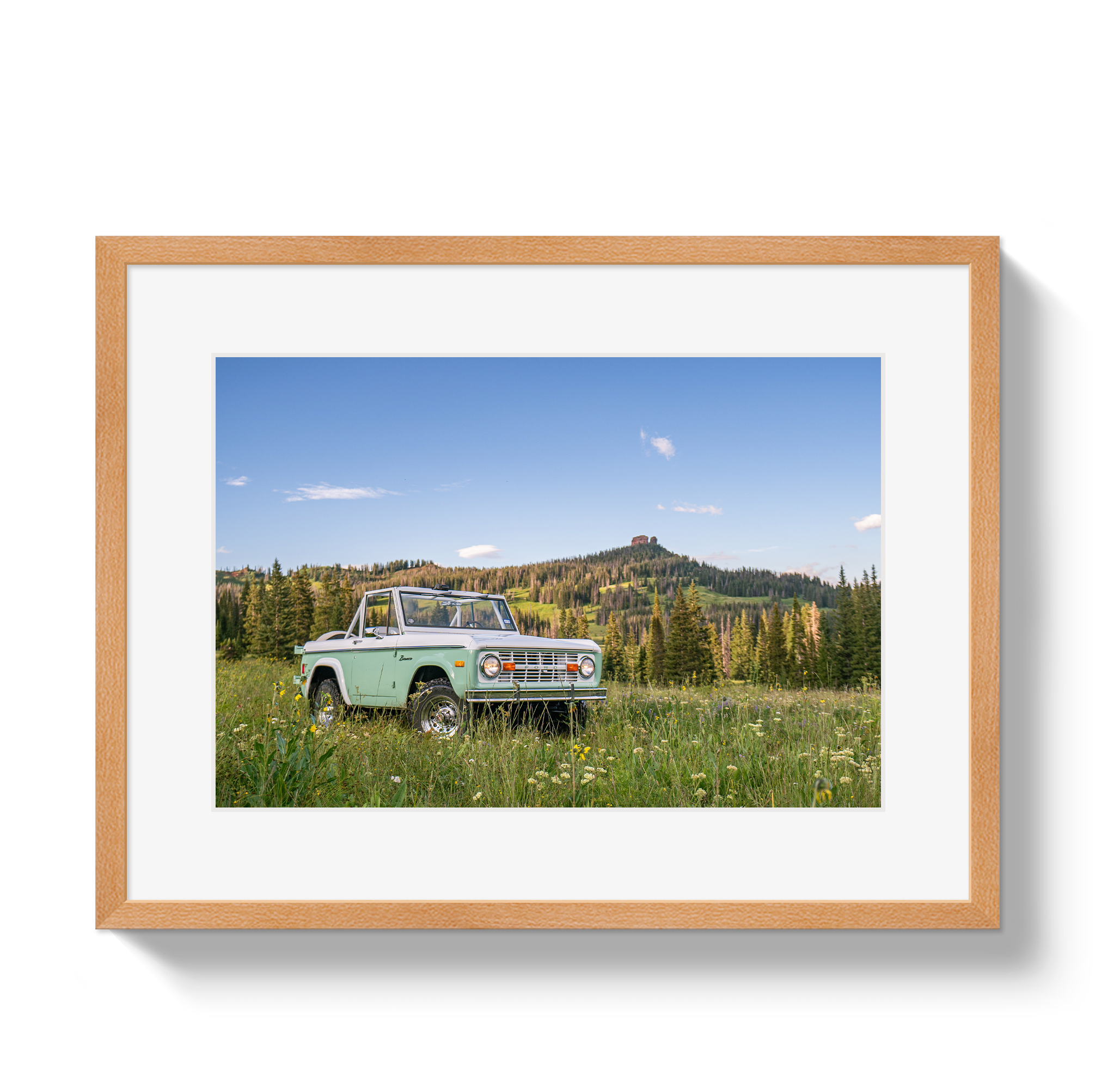 Bronco View 2
