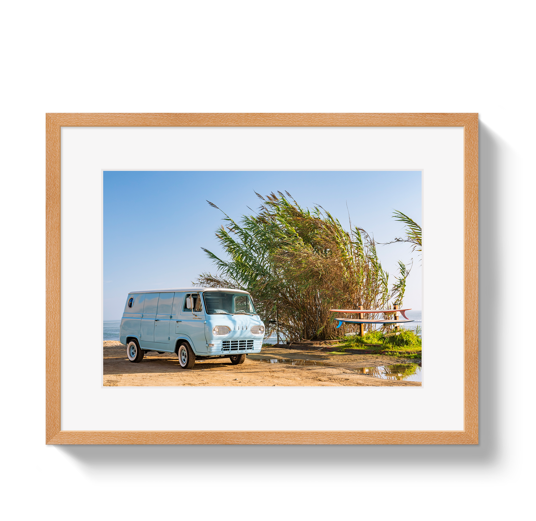 Sano Bus