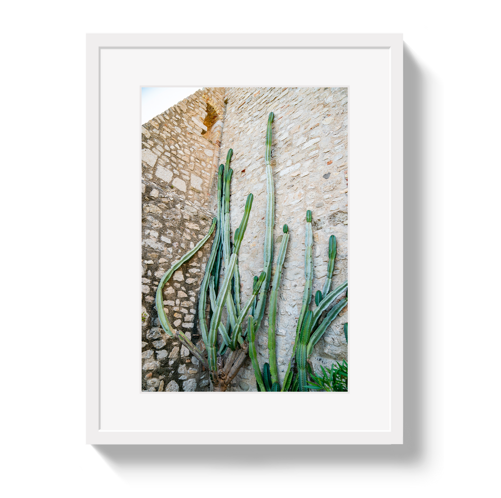 Cactus Capri