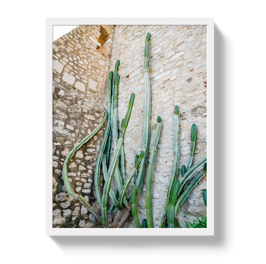 Cactus Capri