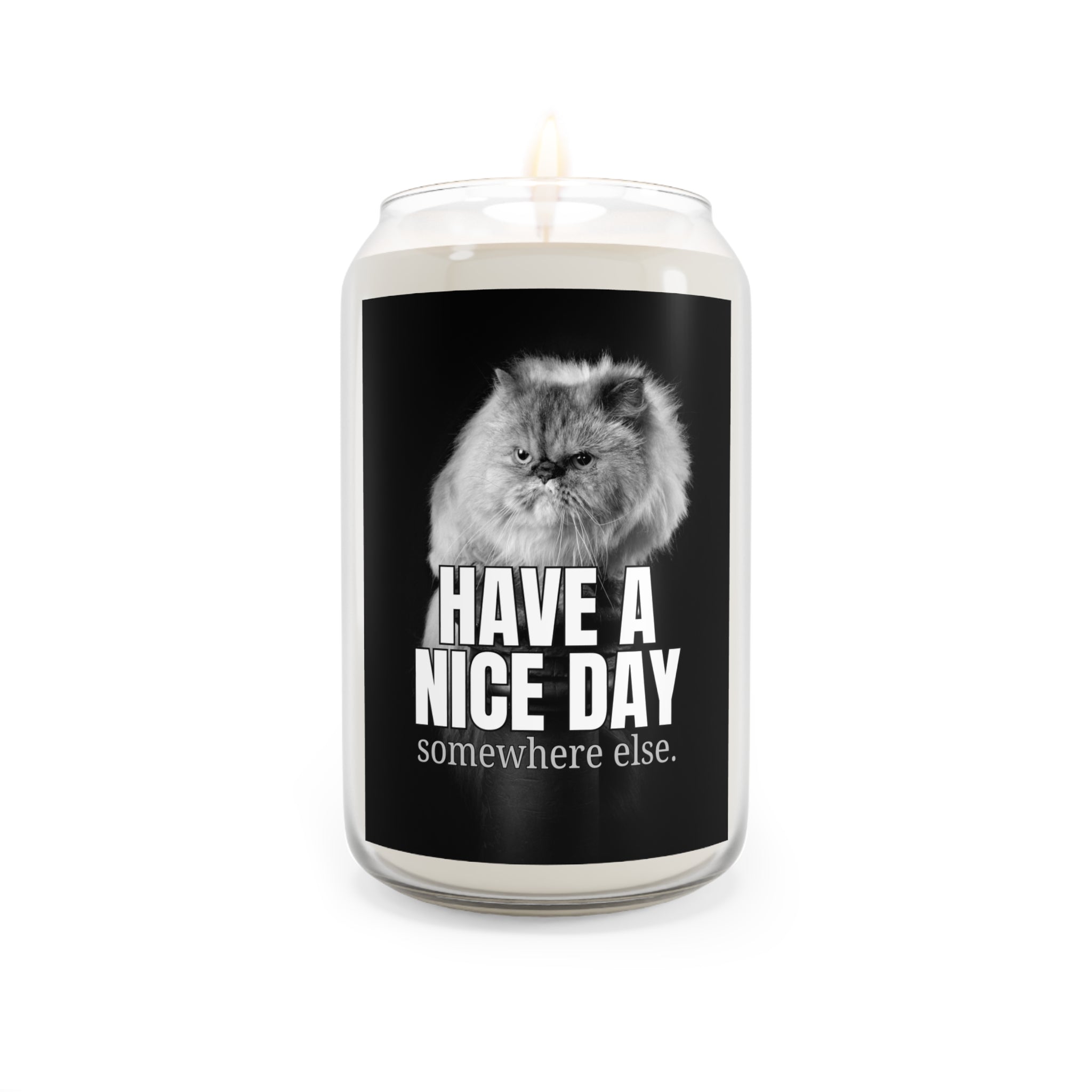 Have a Nice Day Scented Candle, 13.75oz