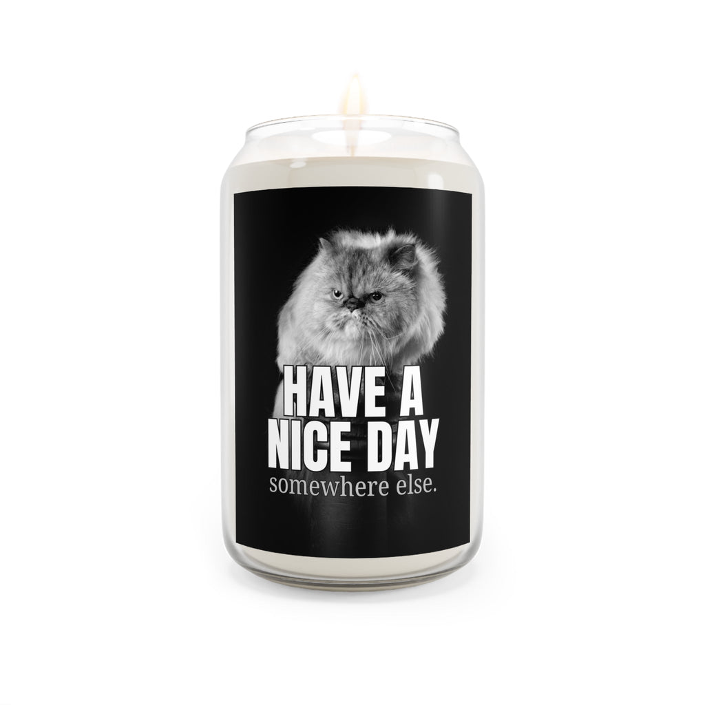 Have a Nice Day Scented Candle, 13.75oz