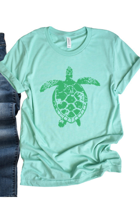 Sea Turtle 1763