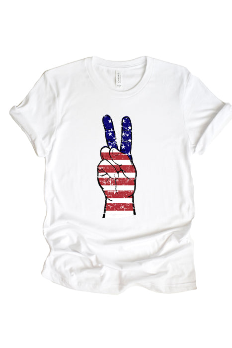 USA Peace Sign 1785