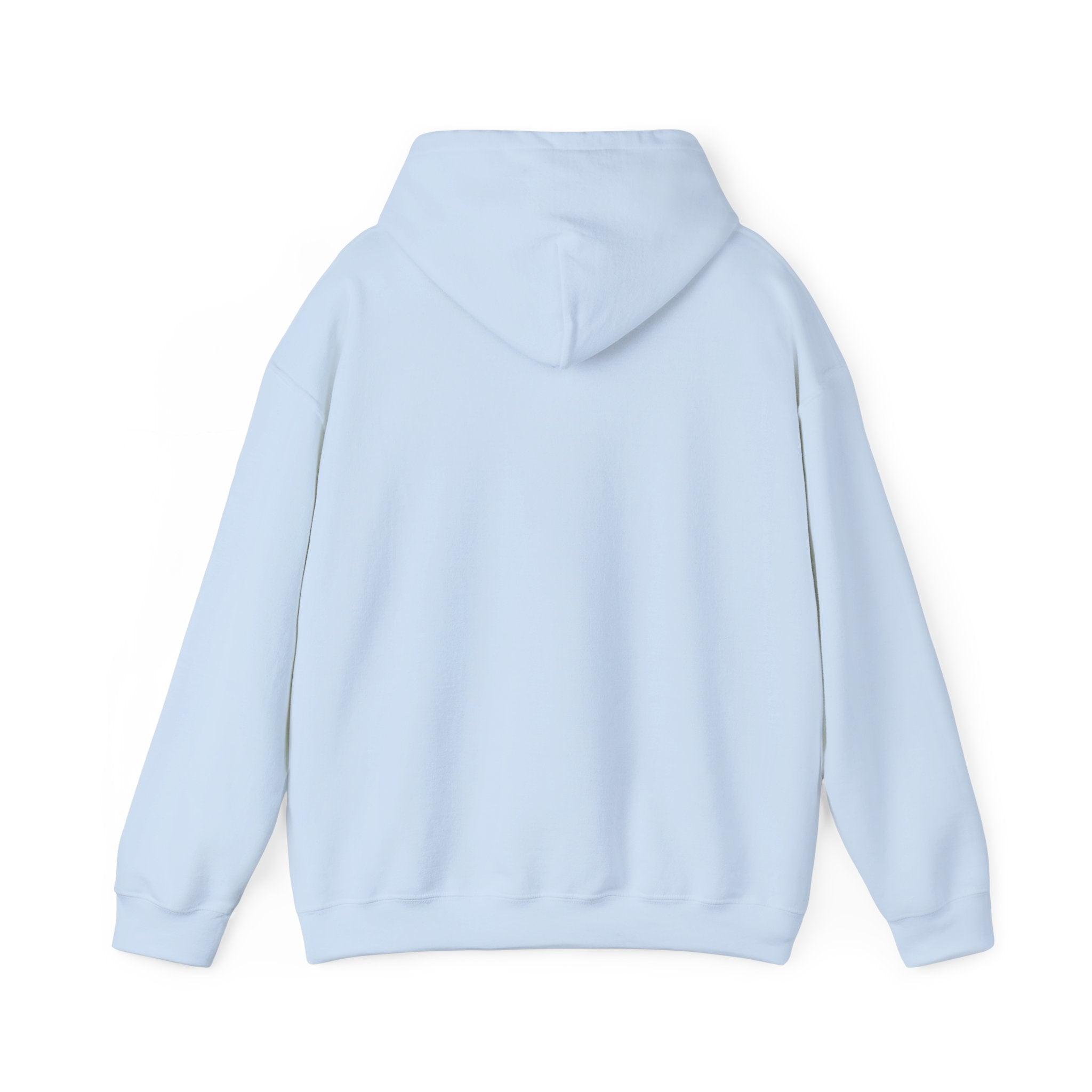 Butterfly Graphic Unisex Hoodie, Cozy Sweatshirt for Nature Lovers, Perfect Gift for Her, Birthday, Casual Wear, Spring Fashion