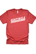 Sentinels 4719