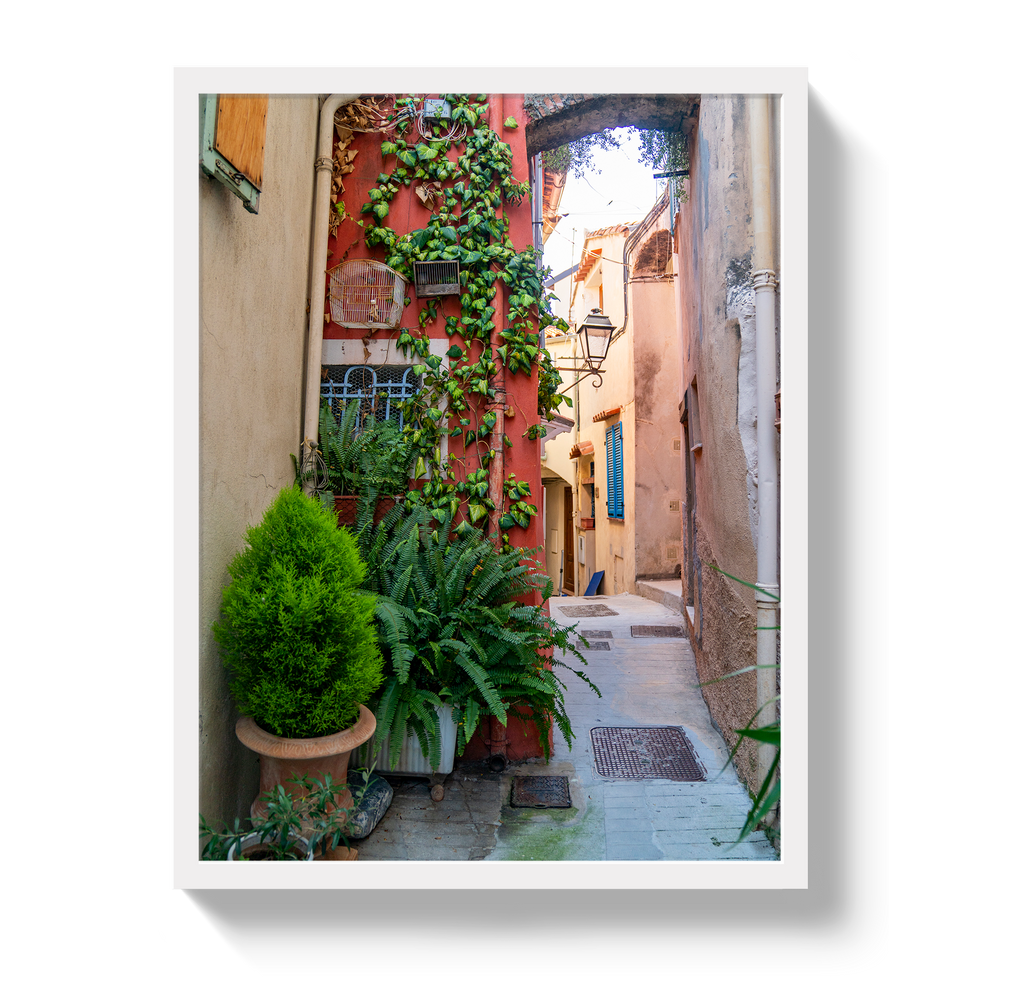 Old World Walk
