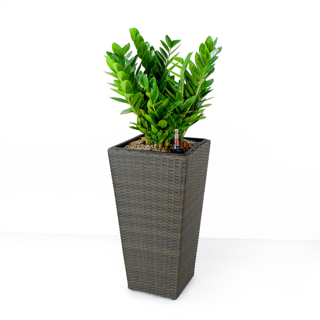 2-Pack Self-watering Planter - Hand Woven Wicker - Square - Expresso