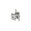 Animal Guide Necklaces - For the Love of Dogs