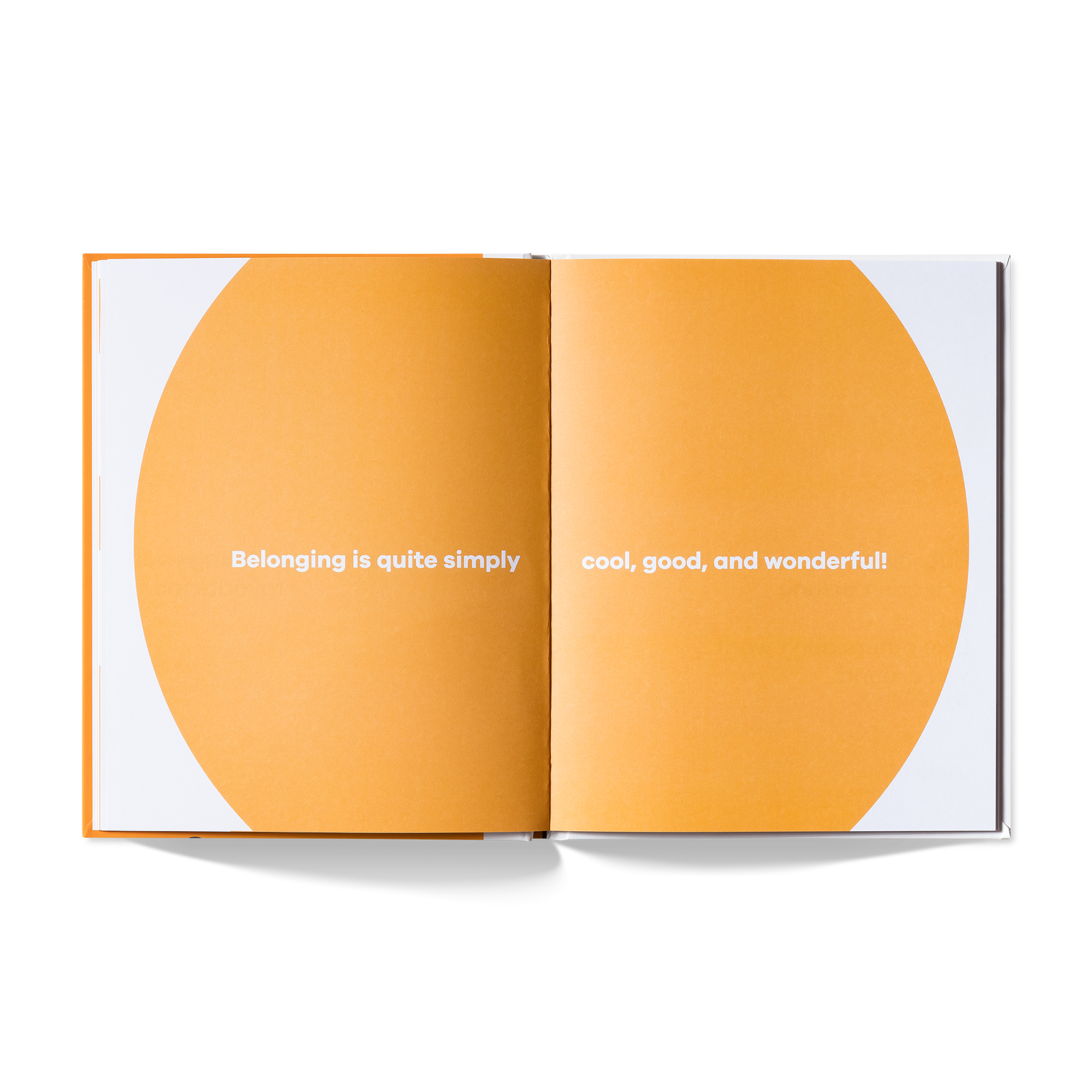 A Kids Book About Belonging
