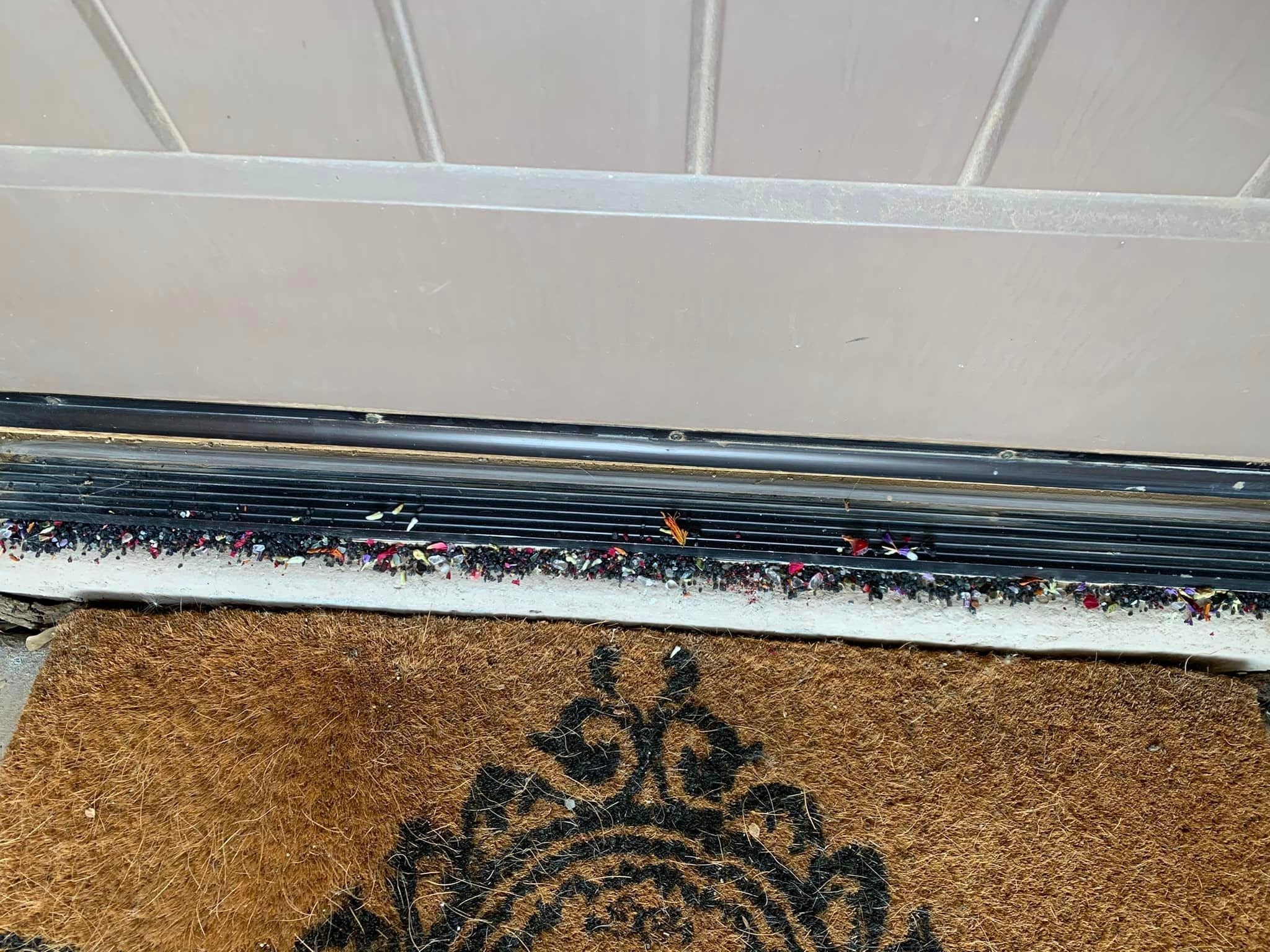 Black Salt - Plain
