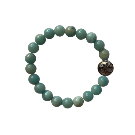 Amazonite Bracelet 8 mm Round Beads