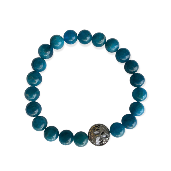 Blue Apatite Bracelet 8 mm Round Beads
