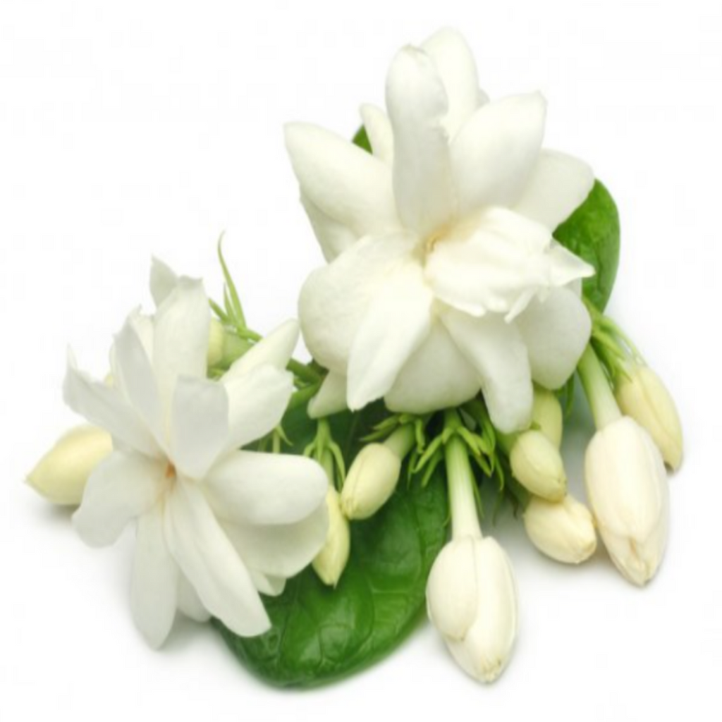 Exfoliating Nourishing Anti-Aging Body Scrub - Jasmine Fragrance