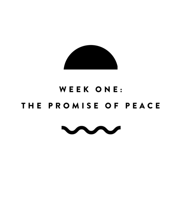 The Pursuit of Presence: Navigating through seasons of life by pursuing presence in our promises