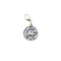 Zodiac Charms