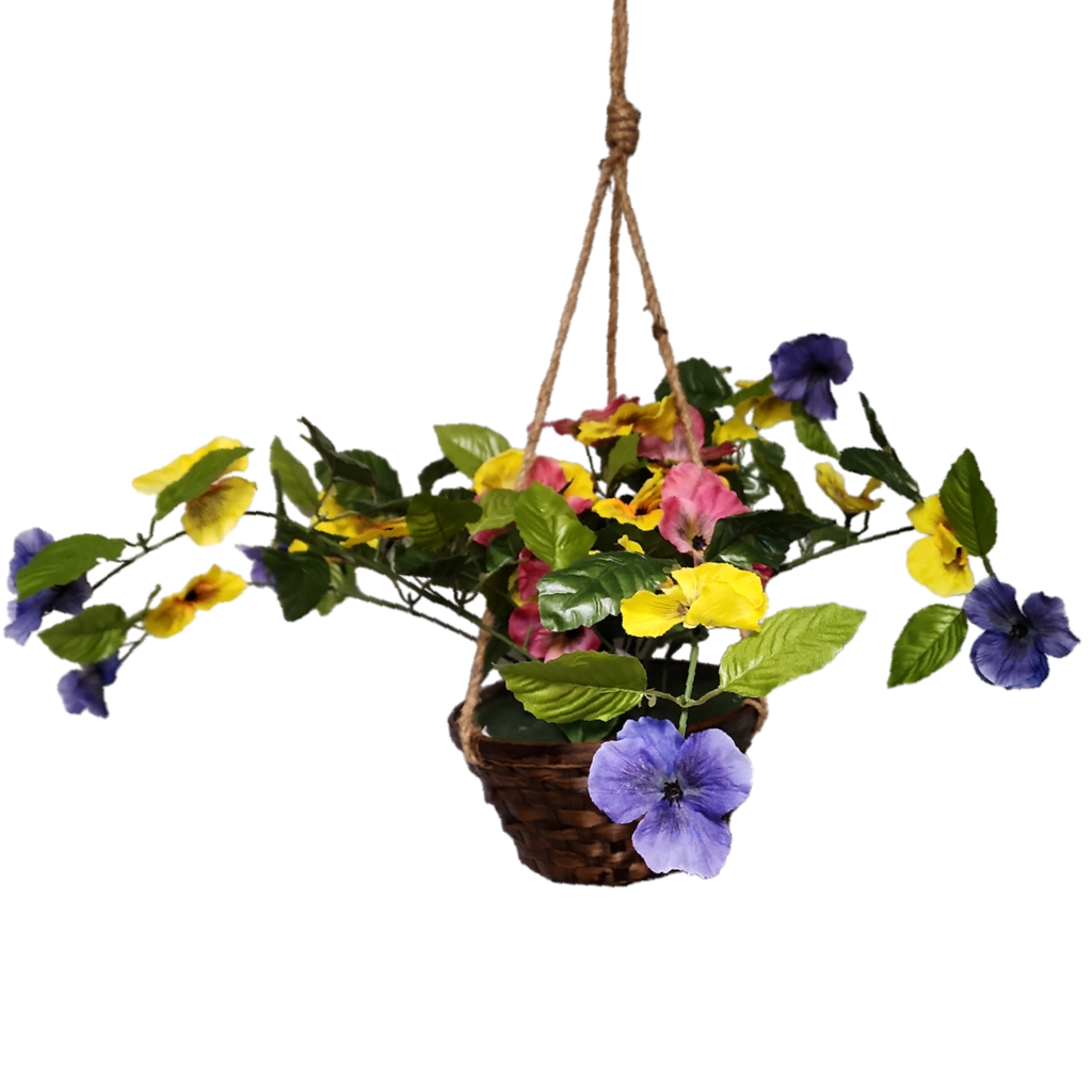 Trailing Pansy Flowers in 8" Hanging Bamboo Basket -