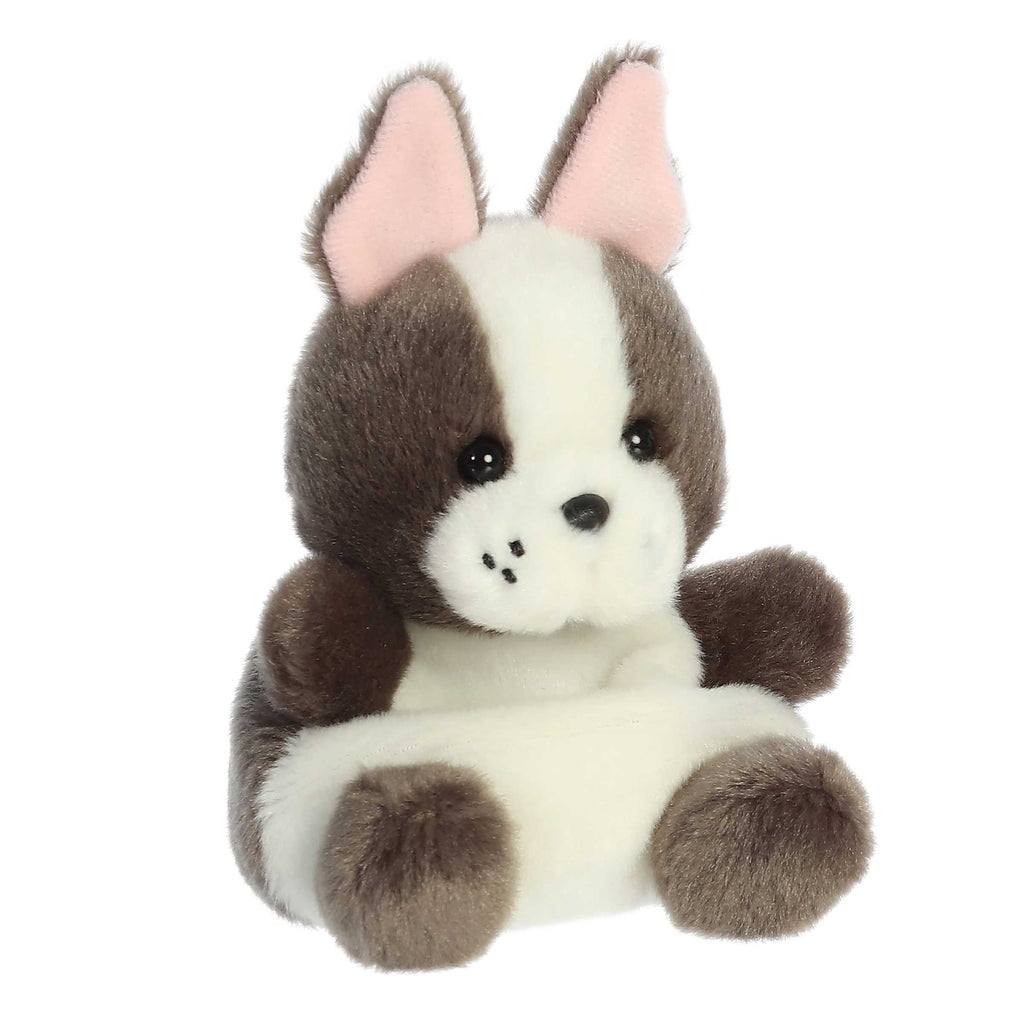 Beau French Bulldog  Palm Pal