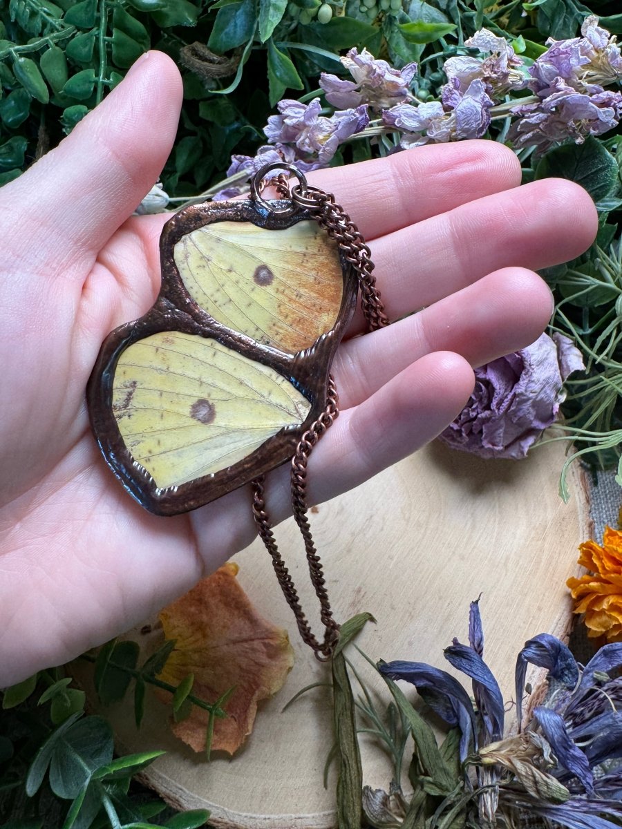 Amethyst and Moth Wing Necklace