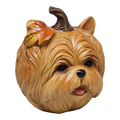Autumn Pup Pumpkin - Yorkie Edition