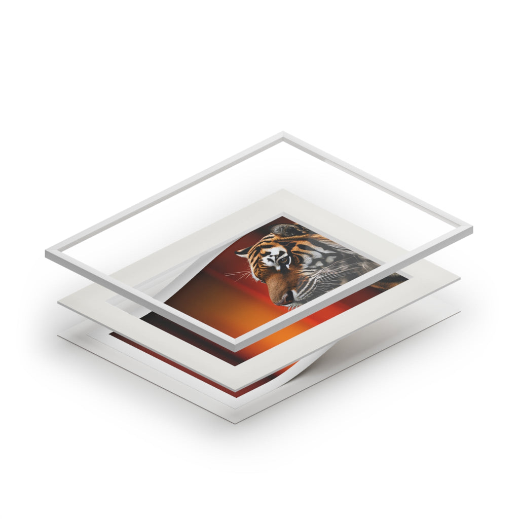 Beautiful Tiger Fine Art Print with Passepartout Frame