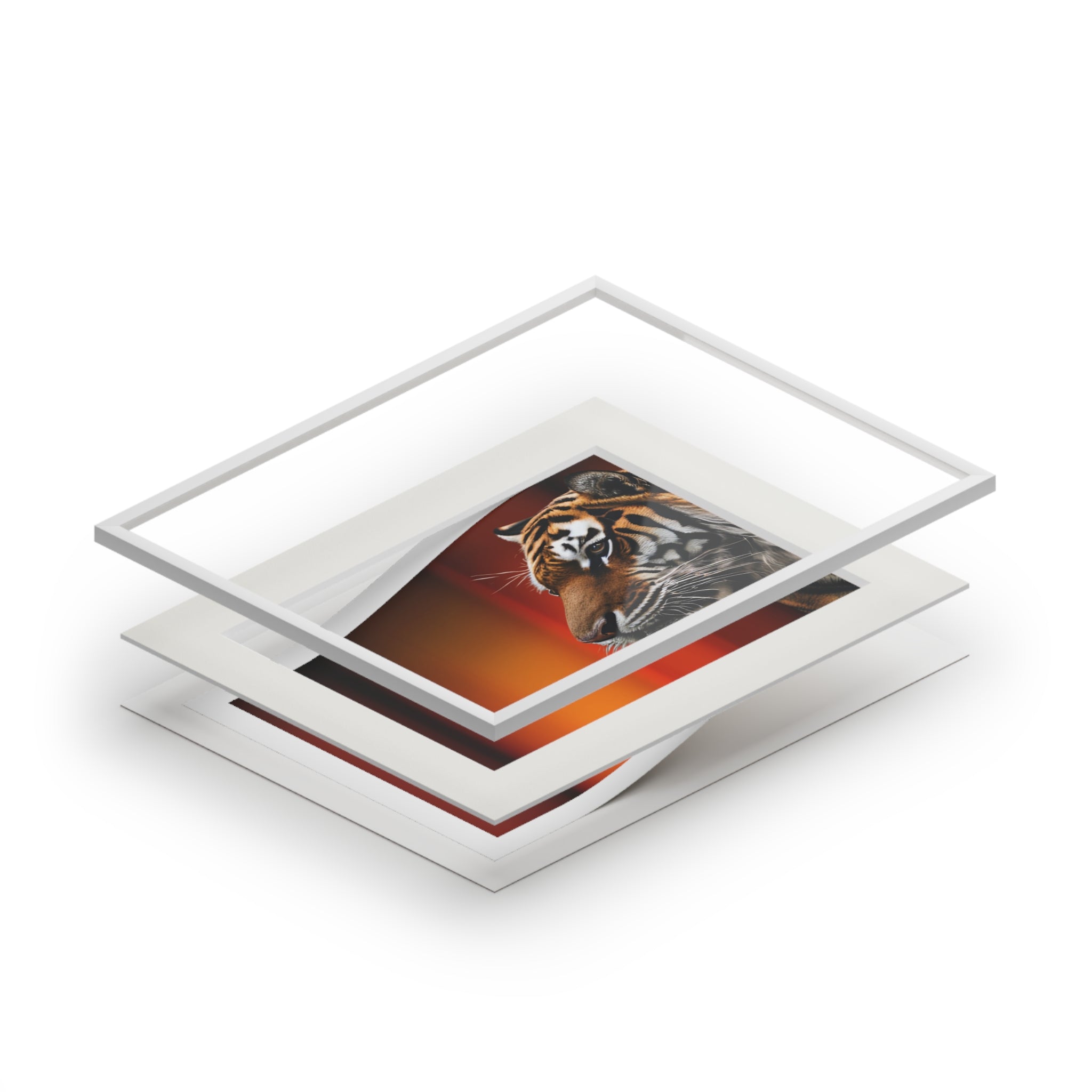 Beautiful Tiger Fine Art Print with Passepartout Frame
