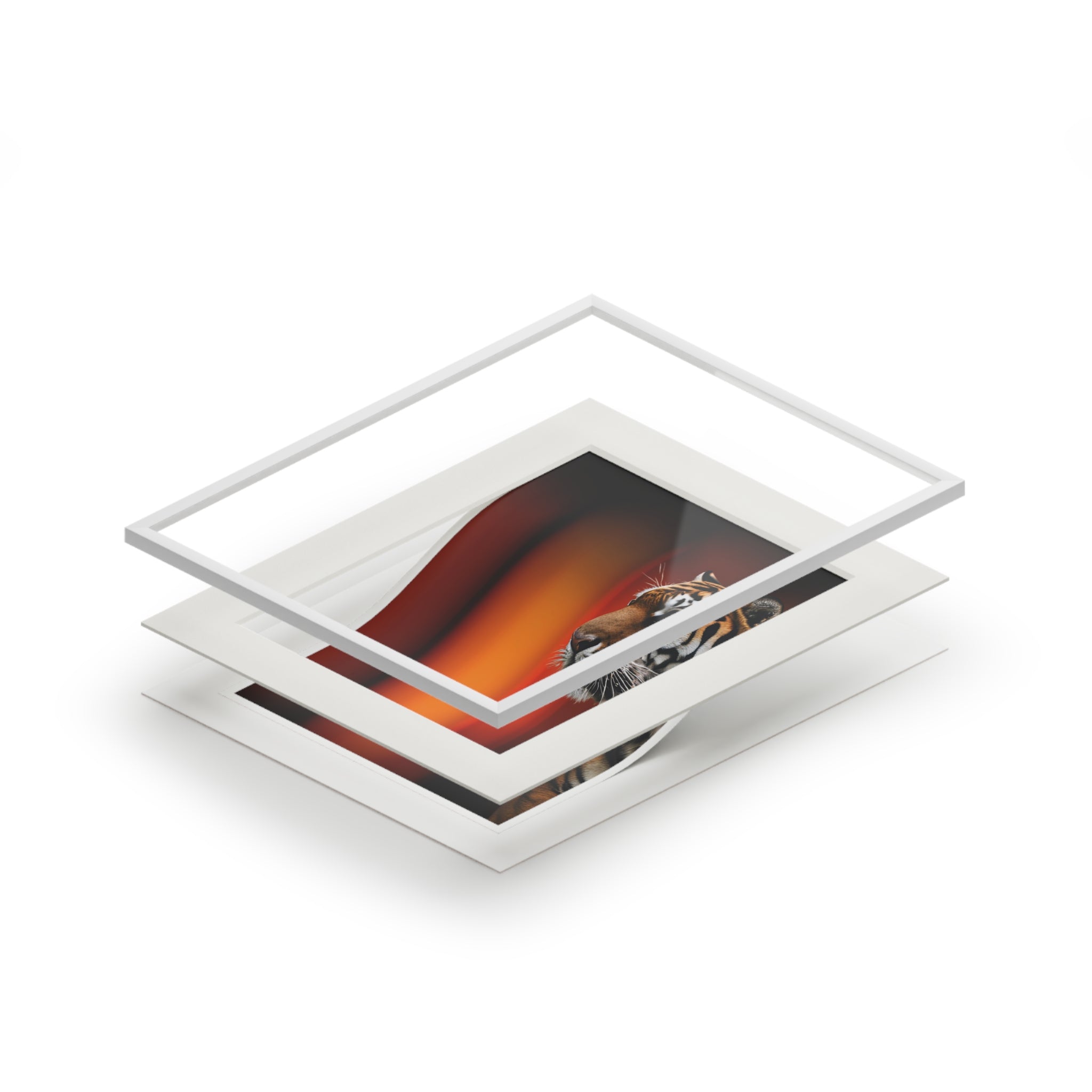 Beautiful Tiger Fine Art Print with Passepartout Frame