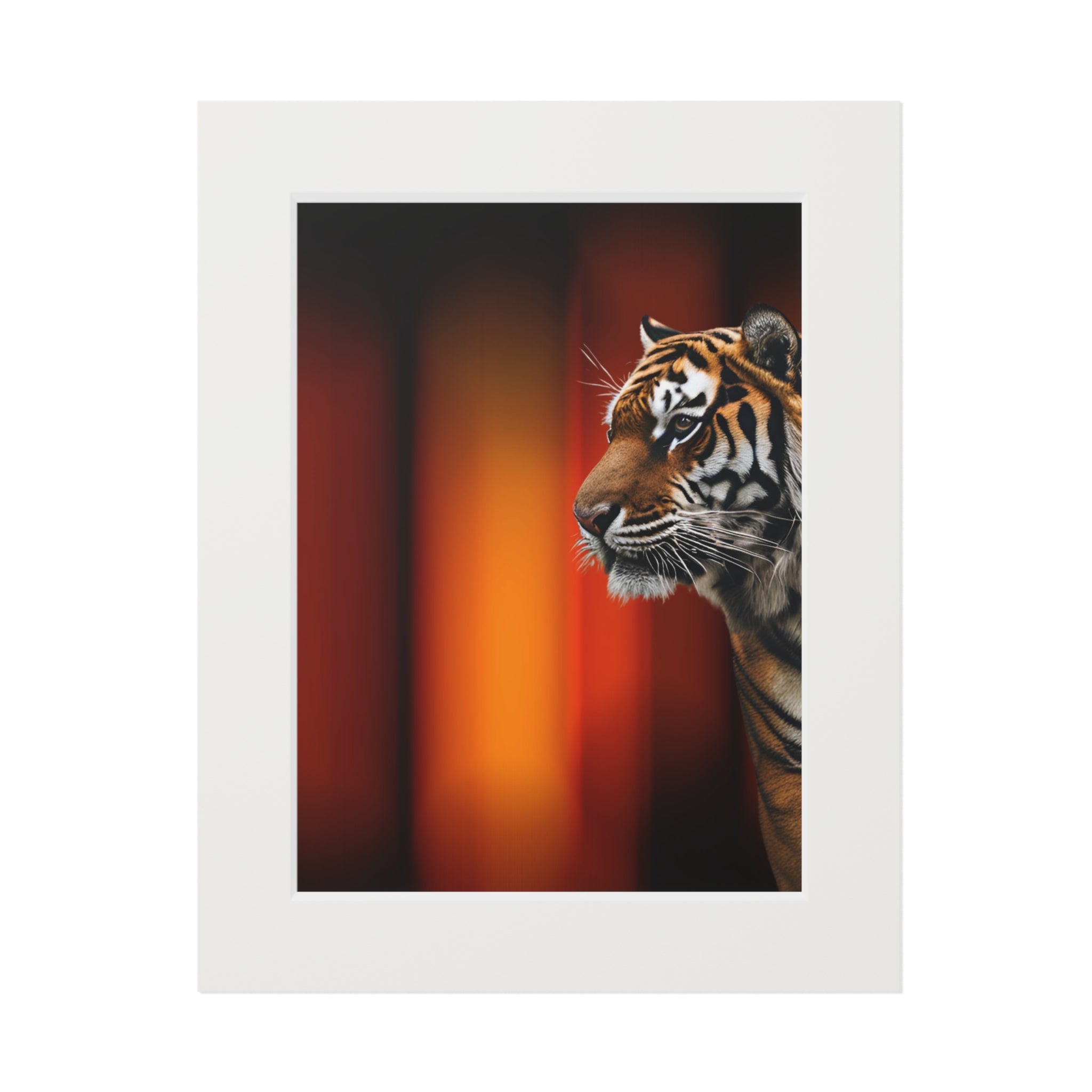 Beautiful Tiger Fine Art Print with Passepartout Frame