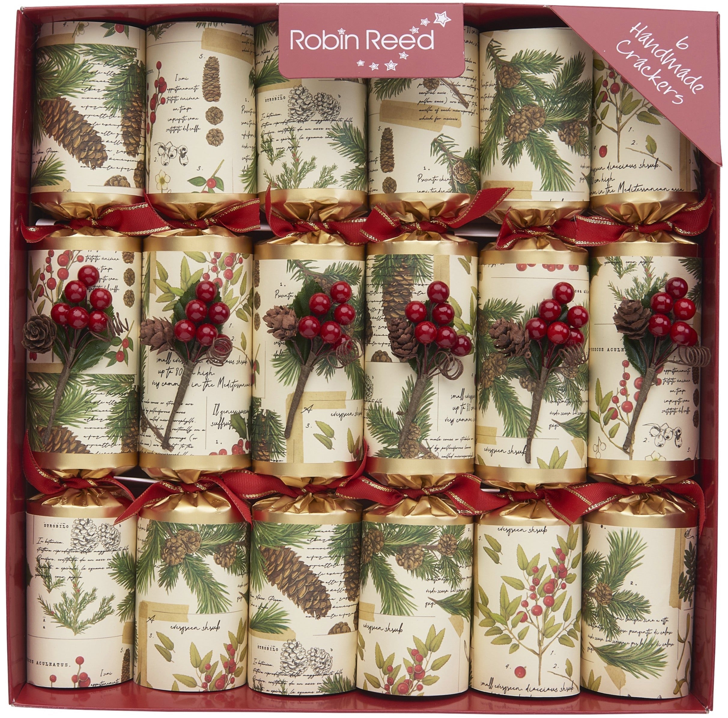 Evergreen - Party Crackers