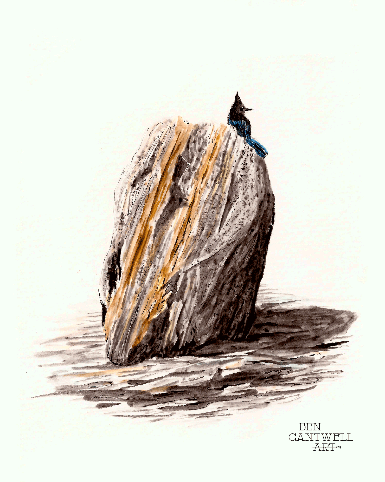 Bird on Rock