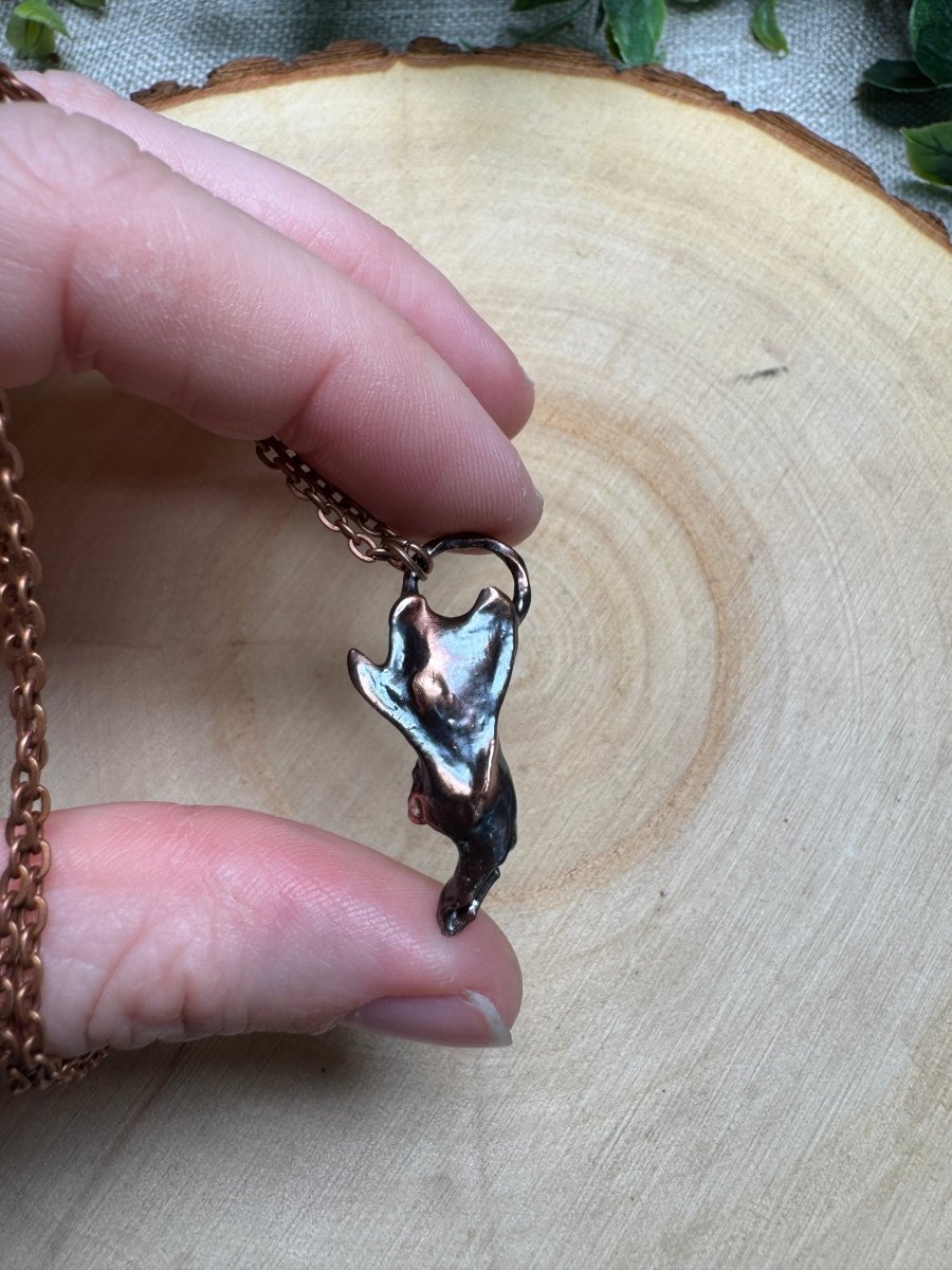 Caelum- Vole Jawbone Necklace
