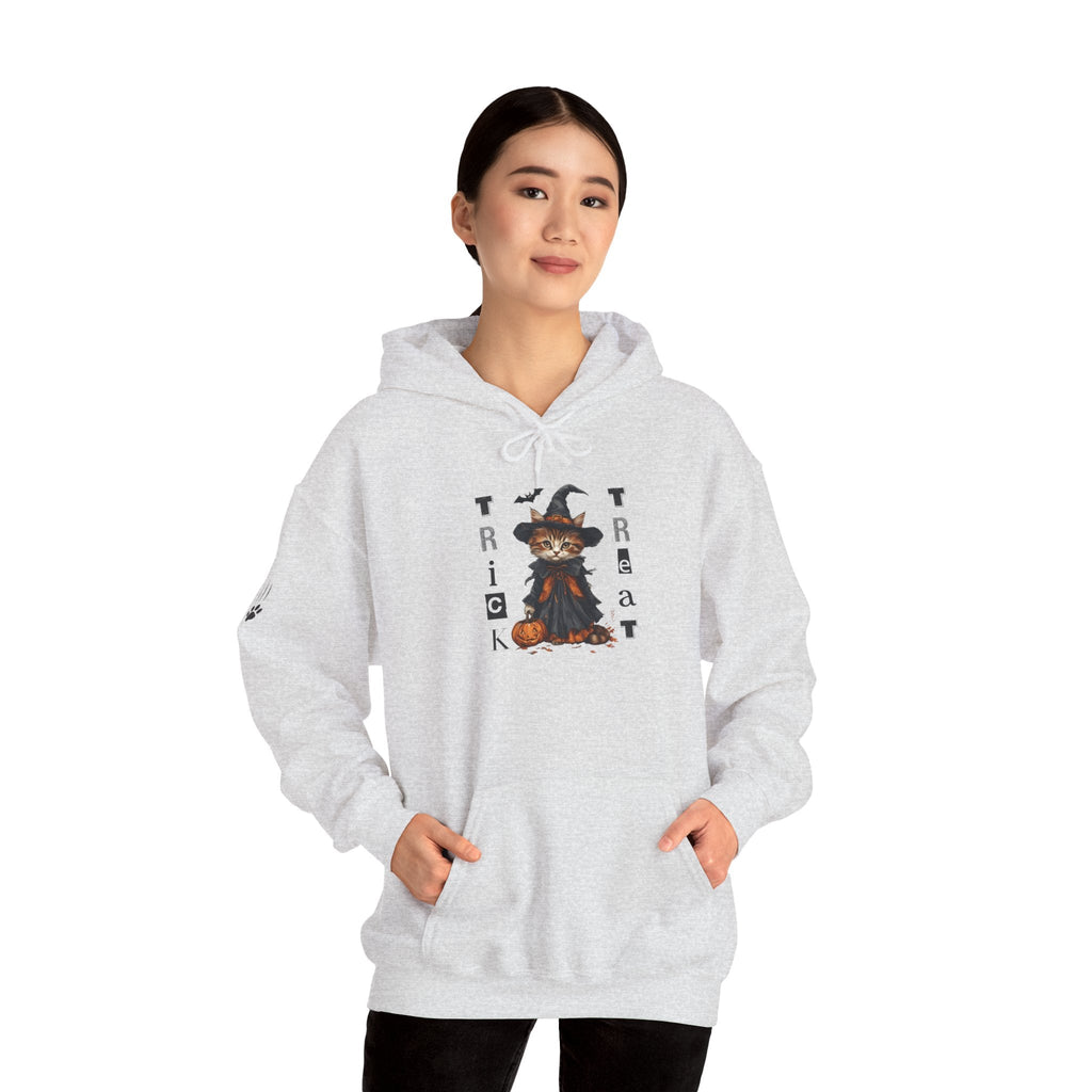 Cozy Halloween Witchy Cat Hoodie