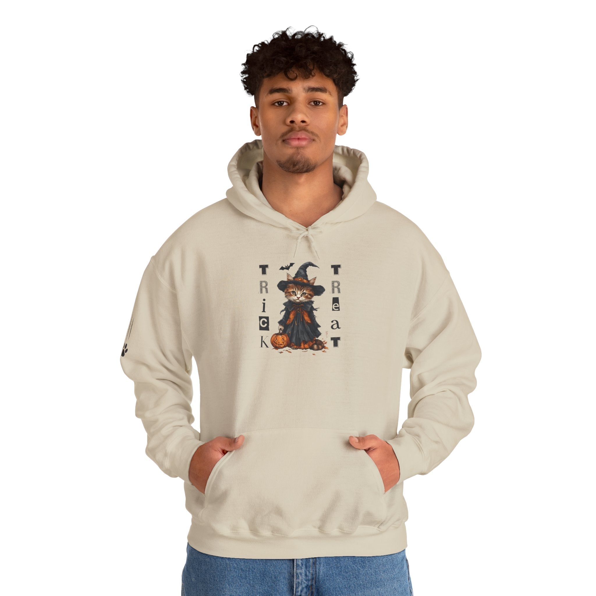 Cozy Halloween Witchy Cat Hoodie