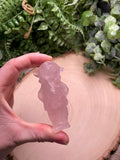 Crystal Chihuahua