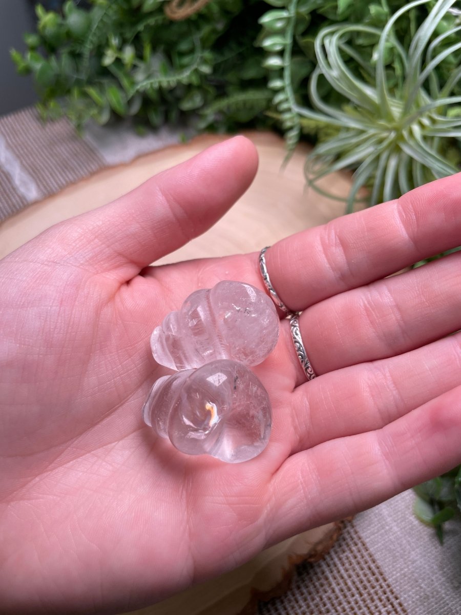 Crystal Shell