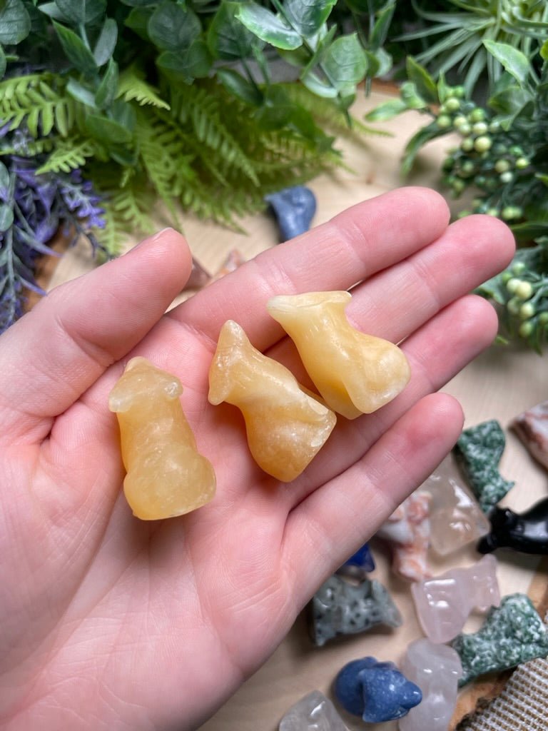 Crystal Wolf