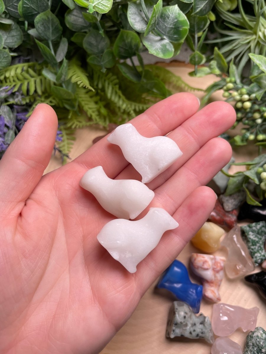 Crystal Wolf