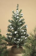 18 Inch Table top Tree in Burlap Base - Snowy Green