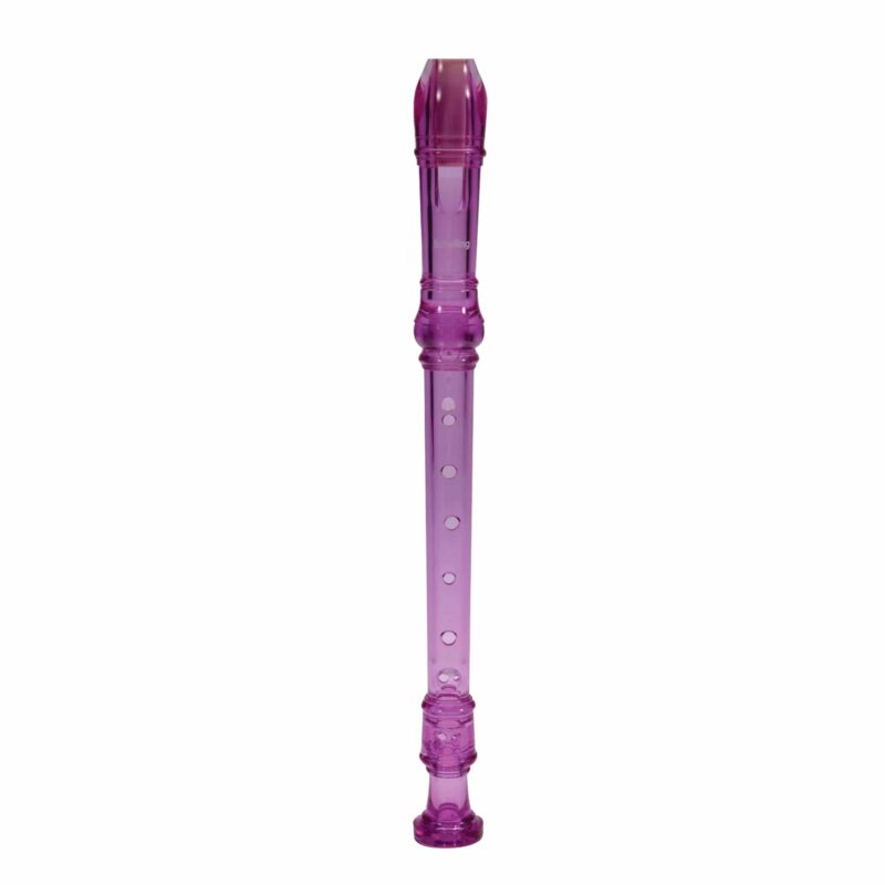 Learn To Play Recorder -